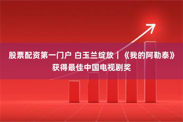 股票配资第一门户 白玉兰绽放｜《我的阿勒泰》获得最佳中国电视剧奖