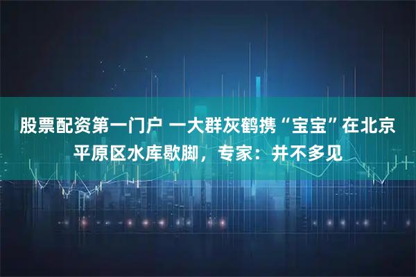 股票配资第一门户 一大群灰鹤携“宝宝”在北京平原区水库歇脚,专家:并不多见